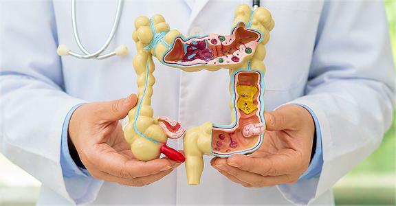 Proctologia
